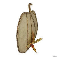 Northlight 19" Beige Burlap and Vine Pumpkin Fall Harvest Wall Hanging