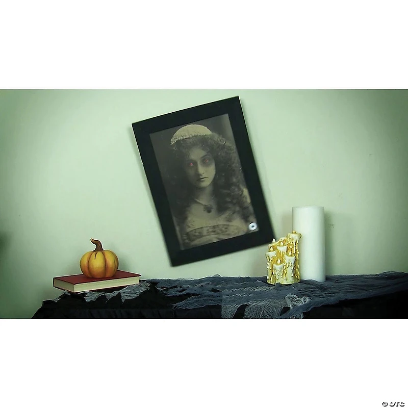 Northlight 19" Black and White Young Lady Animated Vintage Frame Halloween Wall Decor