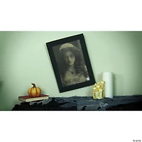 Northlight 19" Black and White Young Lady Animated Vintage Frame Halloween Wall Decor