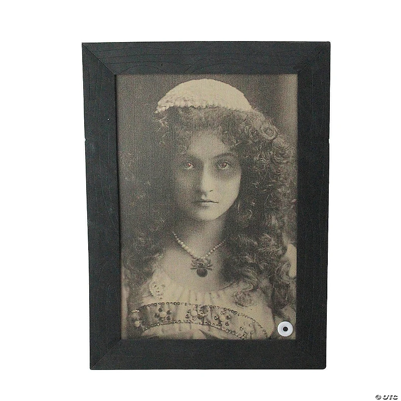 Northlight 19" Black and White Young Lady Animated Vintage Frame Halloween Wall Decor