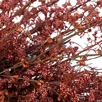Northlight 24" Fall Harvest Burgundy Berry Artificial Wreath - Unlit