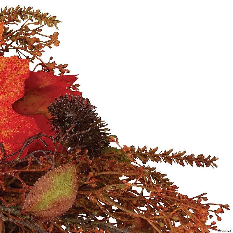 Northlight 24-Inch Autumn Harvest Maple Leaf with Berries Artificial Wreath; Unlit