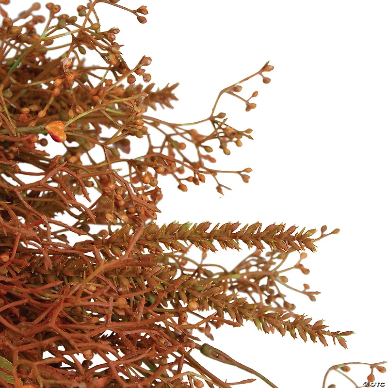 Northlight 32" Brown Fall Grass Autumn Harvest Artificial Wreath - Unlit