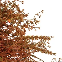 Northlight 32" Brown Fall Grass Autumn Harvest Artificial Wreath - Unlit