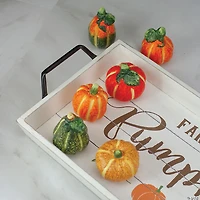 Northlight 6pc Fall Ceramic Pumpkins Set