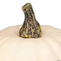 Northlight 8.5" Cream White Pumpkin Fall Harvest Table Top Decoration