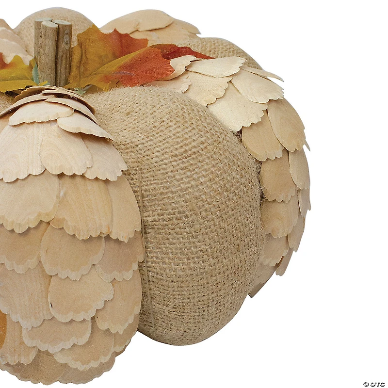 Northlight 9" Brown Autumn Harvest Tabletop Pumpkin