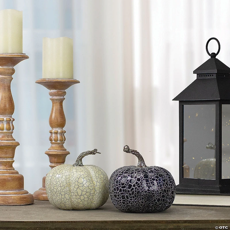 Northlight Set of 2 Black and Beige Fall Harvest Tabletop Pumpkins With a Brown Stem 5"
