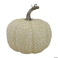 Northlight Set of 2 Black and Beige Fall Harvest Tabletop Pumpkins With a Brown Stem 5"