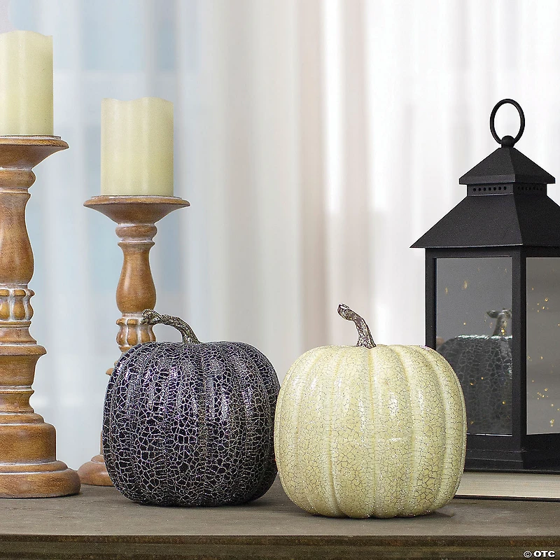 Northlight Set of 2 Black and Beige Fall Harvest Tabletop Pumpkins With a Brown Stem 7"