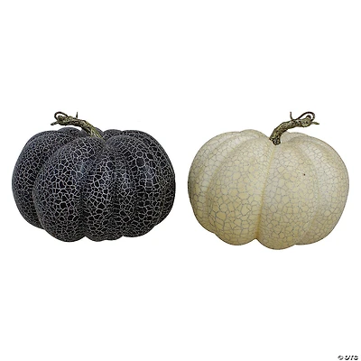 Northlight Set of 2 White and Black Fall Harvest Tabletop Pumpkins 7"