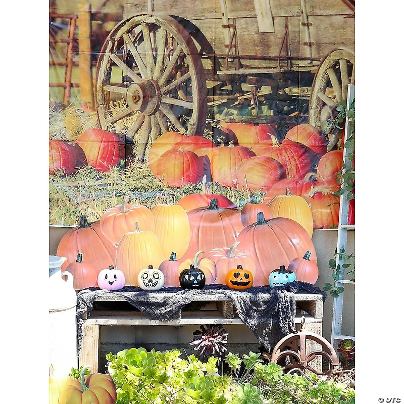 Pumpkin Patch Backdrop