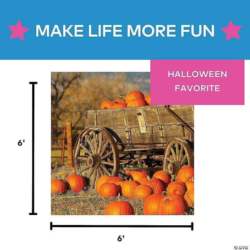 Pumpkin Patch Backdrop