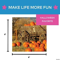 Pumpkin Patch Backdrop