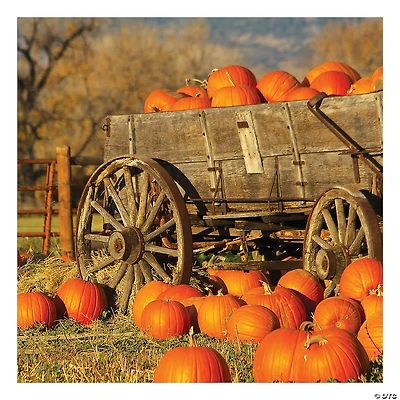 Pumpkin Patch Backdrop