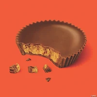 REESE'S Snack Size Peanut Butter Cups - 19.5oz bag
