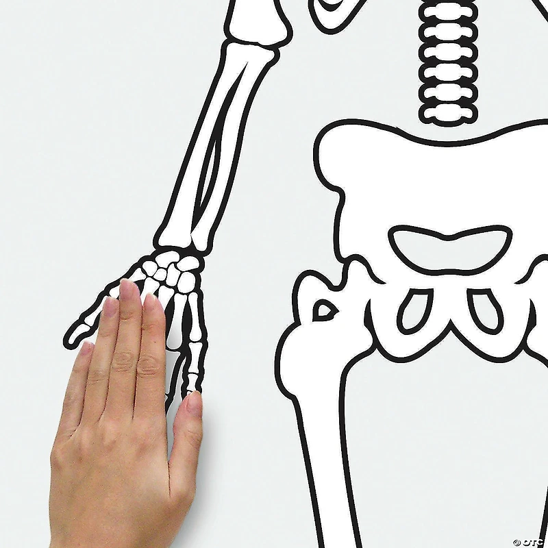Roommates Skeleton Glow In The Dark Peel And Stick Giant Wall Decals