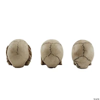 See, Hear, Or Speak No Evil Skulls (Set Of 3) 1.75X2.62X2"