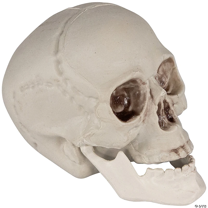 Set of 6 Skull Halloween Decorations 4.75"