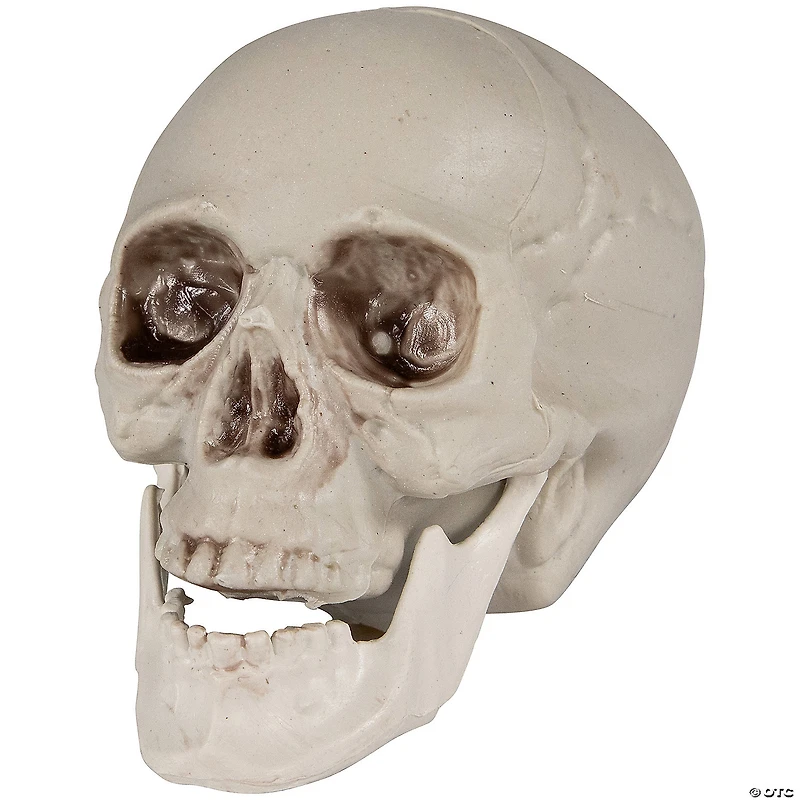 Set of 6 Skull Halloween Decorations 4.75"