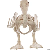 Skeleton Baby Duck Prop