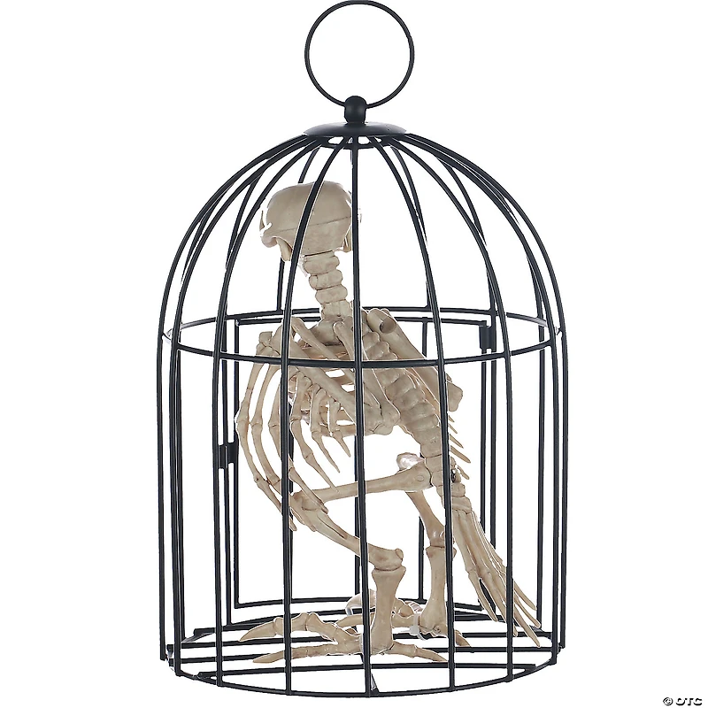 Skeleton Crow in a Cage