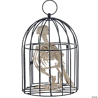 Skeleton Crow in a Cage