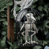 Skeleton Crow in a Cage