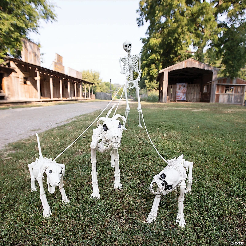 Skeleton Dog Walker Plastic Halloween Decorating Kit - 4 Pc.