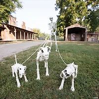 Skeleton Dog Walker Plastic Halloween Decorating Kit - 4 Pc.