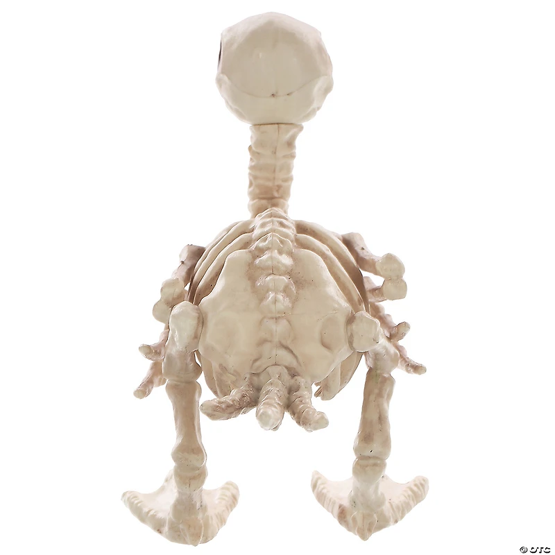 Skeleton Duck Decoration