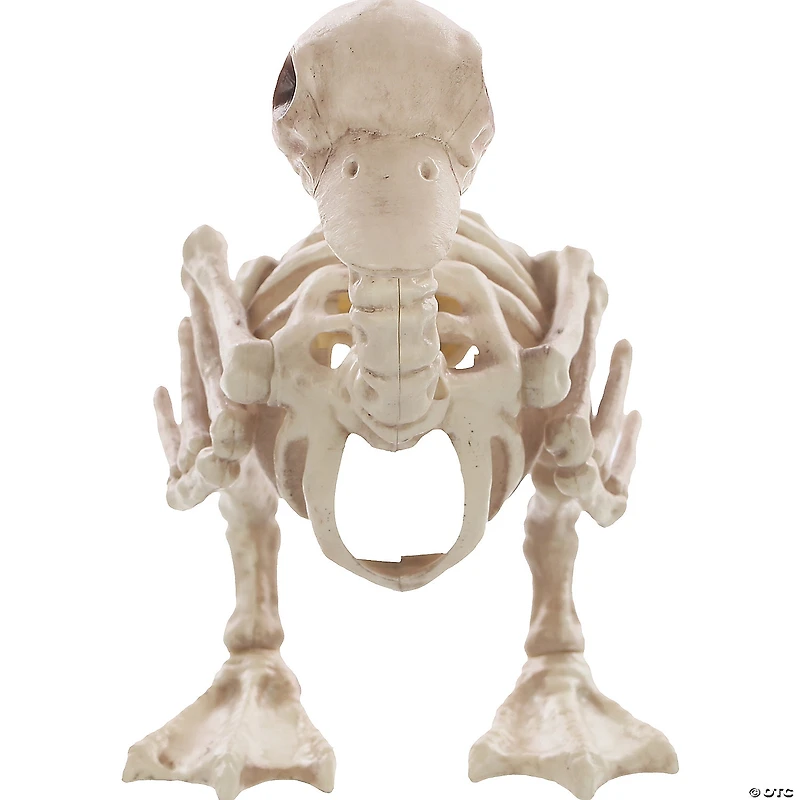 Skeleton Duck Decoration