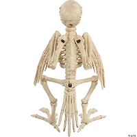 Skeleton Parrot Prop