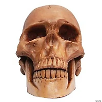 Small Skull Resin Cranium Halloween Decoration