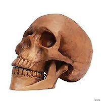 Small Skull Resin Cranium Halloween Decoration
