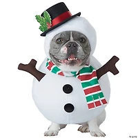 Snowman Dog Costume