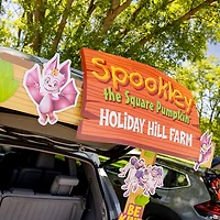 Spookley the Square Pumpkin™ Trunk-or-Treat Decorating Kit