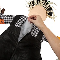 Stuff-a-Scarecrow Couple Decorating Kit - 2 Pc.