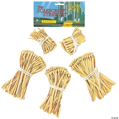 The Wizard of Oz™ Scarecrow Straw Kit