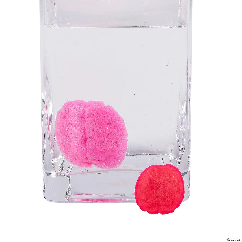 Watch it Grow Brains Water Toy - 36 Pc.