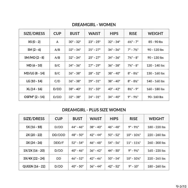 Women's Basic Flapper Dress Costume