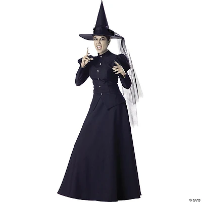 Women's Wicked Witch Deluxe Costume