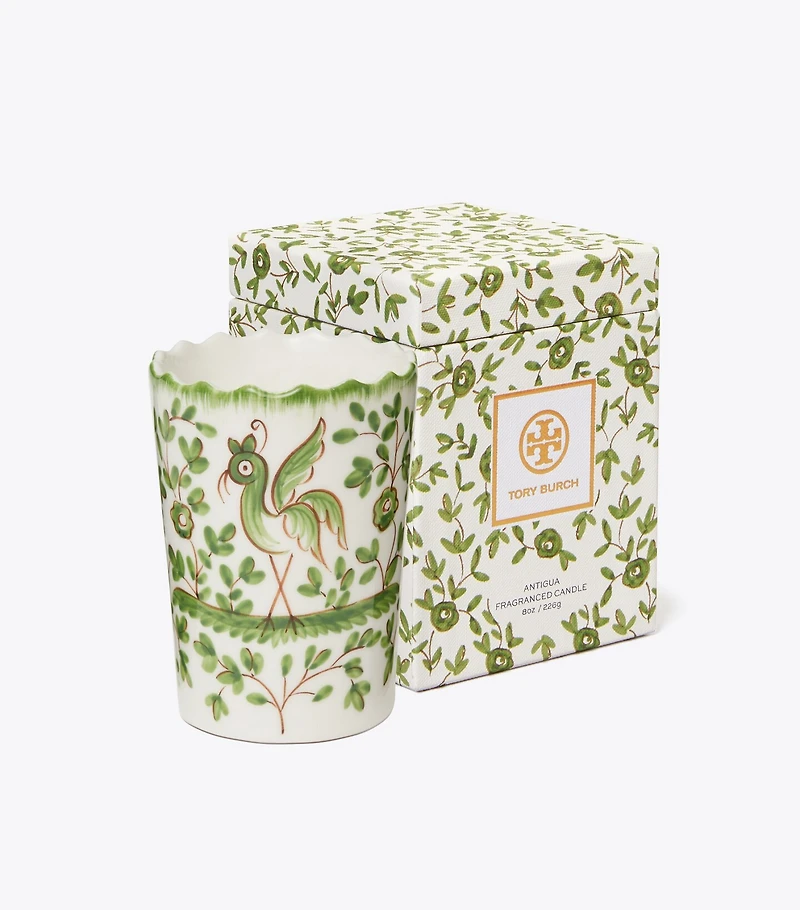 Oiseau Candle