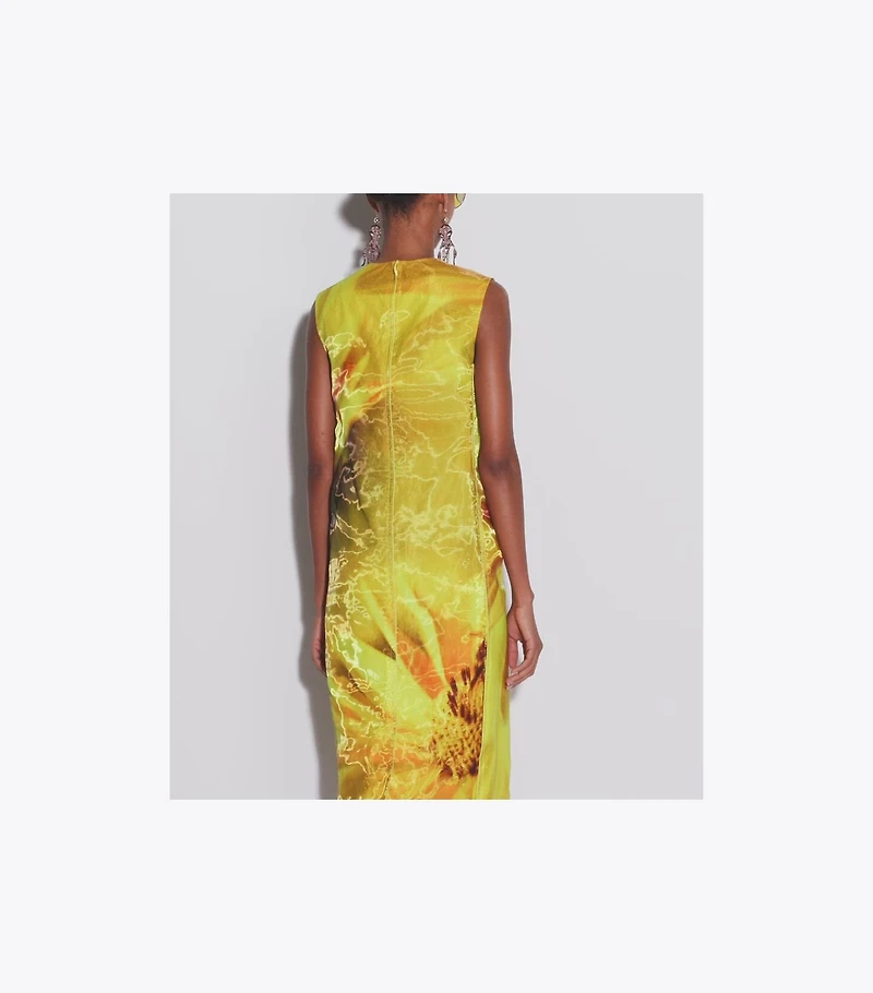 Printed Organza Dress