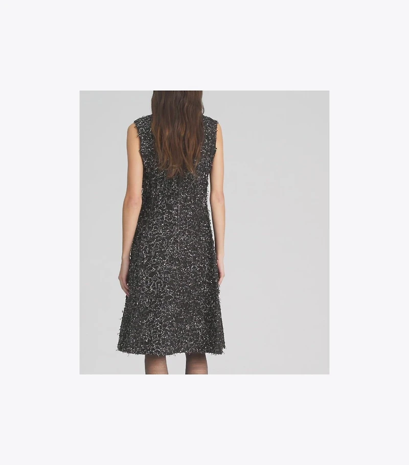 Sequined Fringe Dress