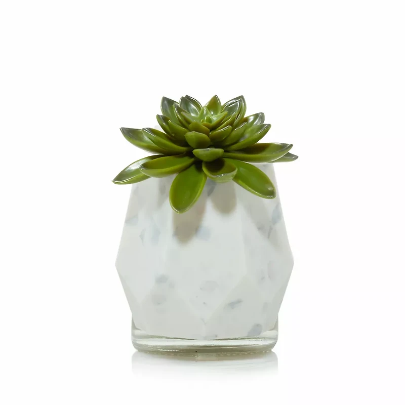 Faceted Succulent ScentPlug® Diffuser with Light