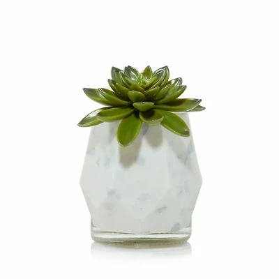 Faceted Succulent ScentPlug® Diffuser with Light