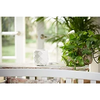 Langham White Scenterpiece® MeltCup Warmer