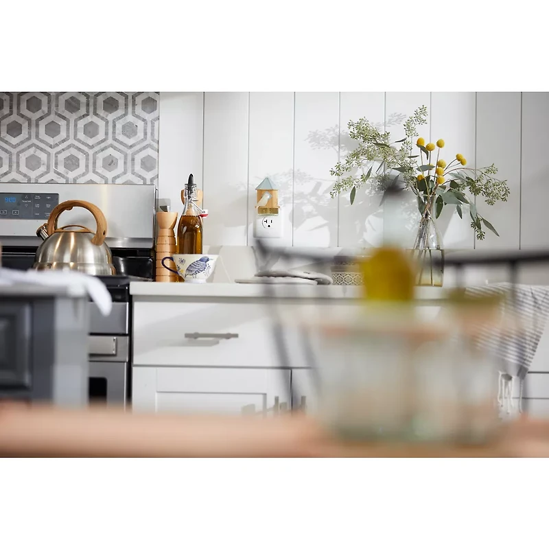 Bird House ScentPlug® Diffuser with Light