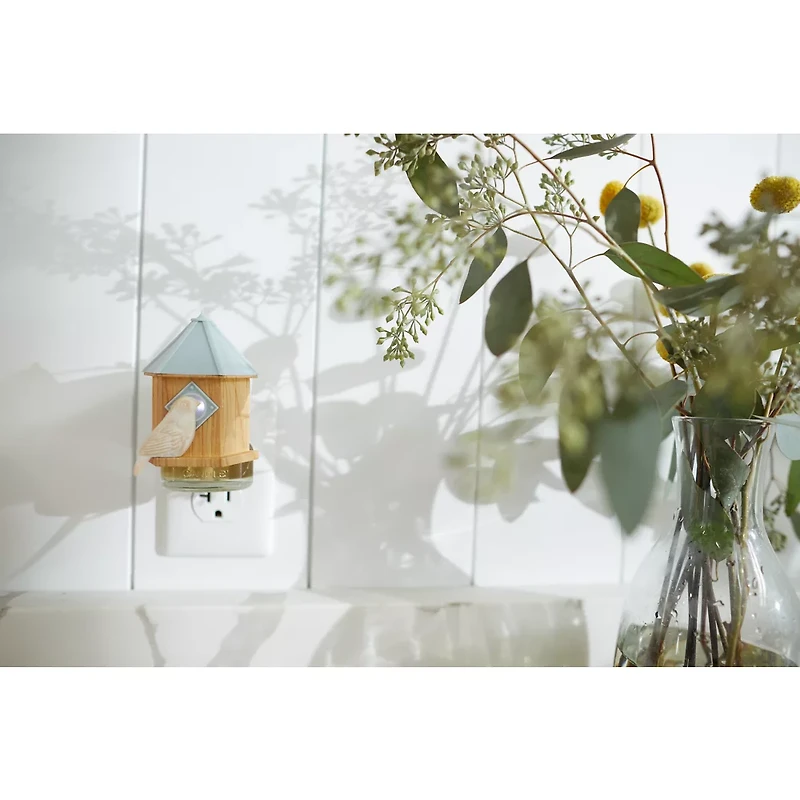 Bird House ScentPlug® Diffuser with Light